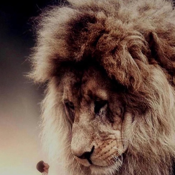 Meet your Posher, Mohammed - Picture 1 of 1